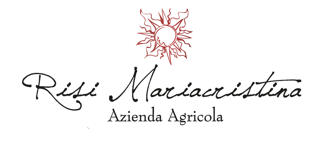 logo_risi