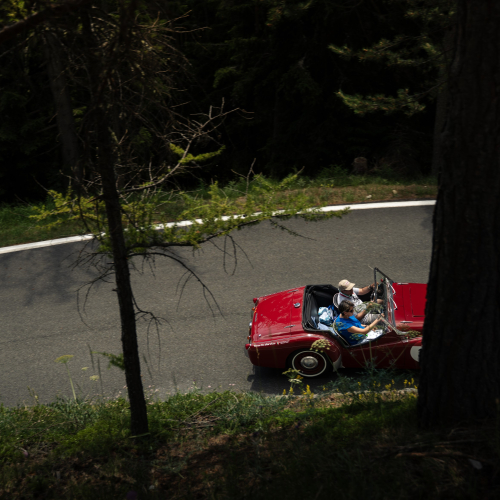 equipaggi_305
